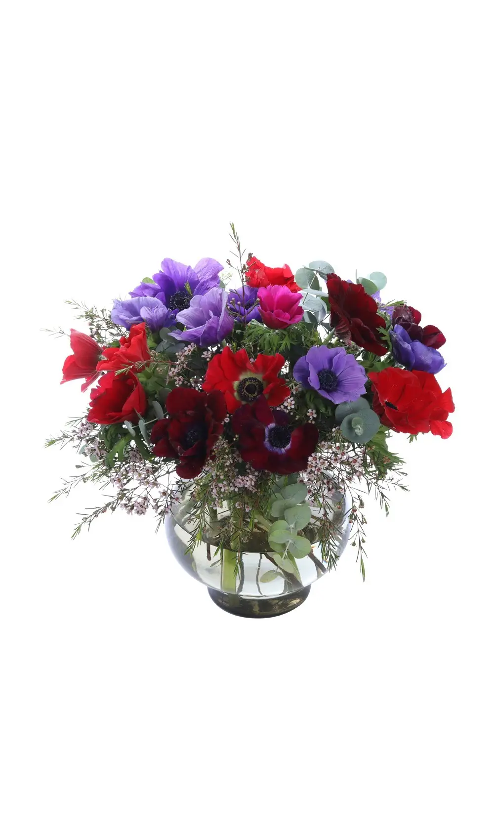 Best & Affordable Online Clipping Path Service Provider 01